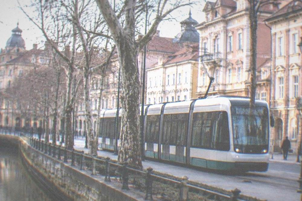 A modern tram moving along a tree-lined street in Timisoara