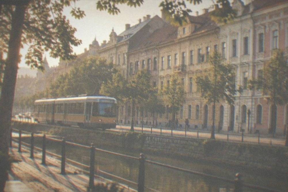 A tram moving along a tree-lined street in central Timisoara
