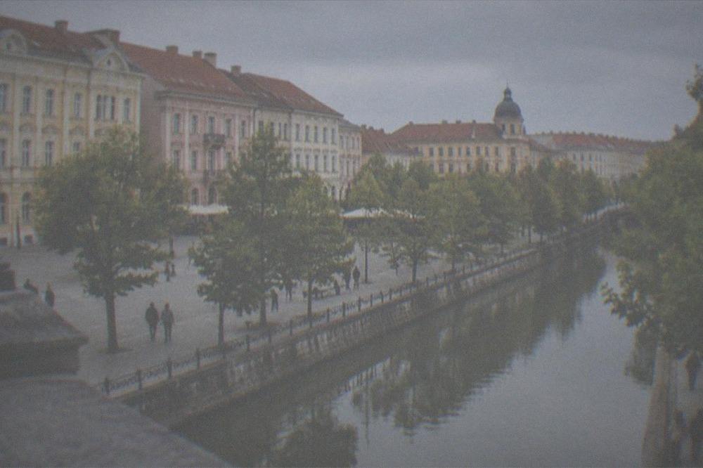 People strolling along a canal promenade under plane trees