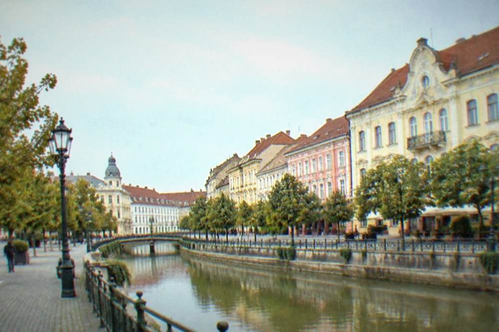 A wide city square in Timisoara lined with trees and ornate buildings