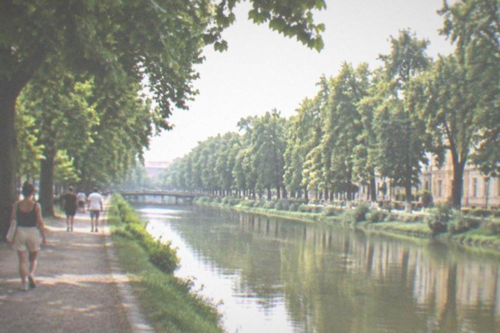 People strolling along a tree-lined promenade beside the Bega canal in summer