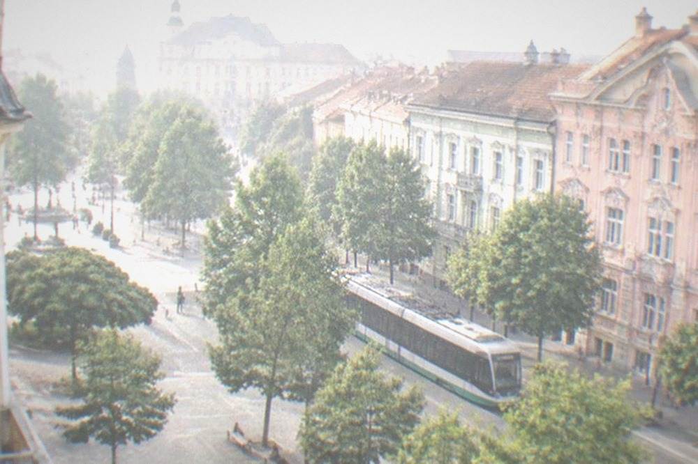 Modern tram passing colorful city buildings on a tree-lined street