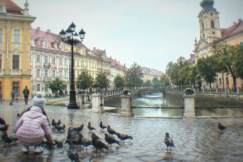 Children feeding pigeons on the flagstones of a baroque square in Timisoara