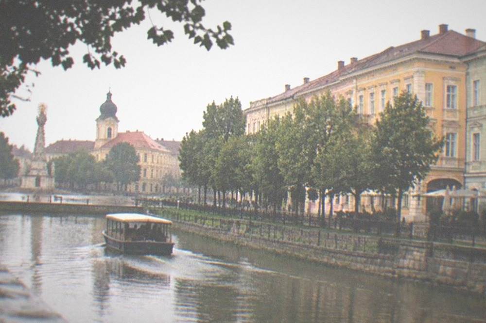 Boat on a calm city canal passing tree-lined banks and modern buildings
